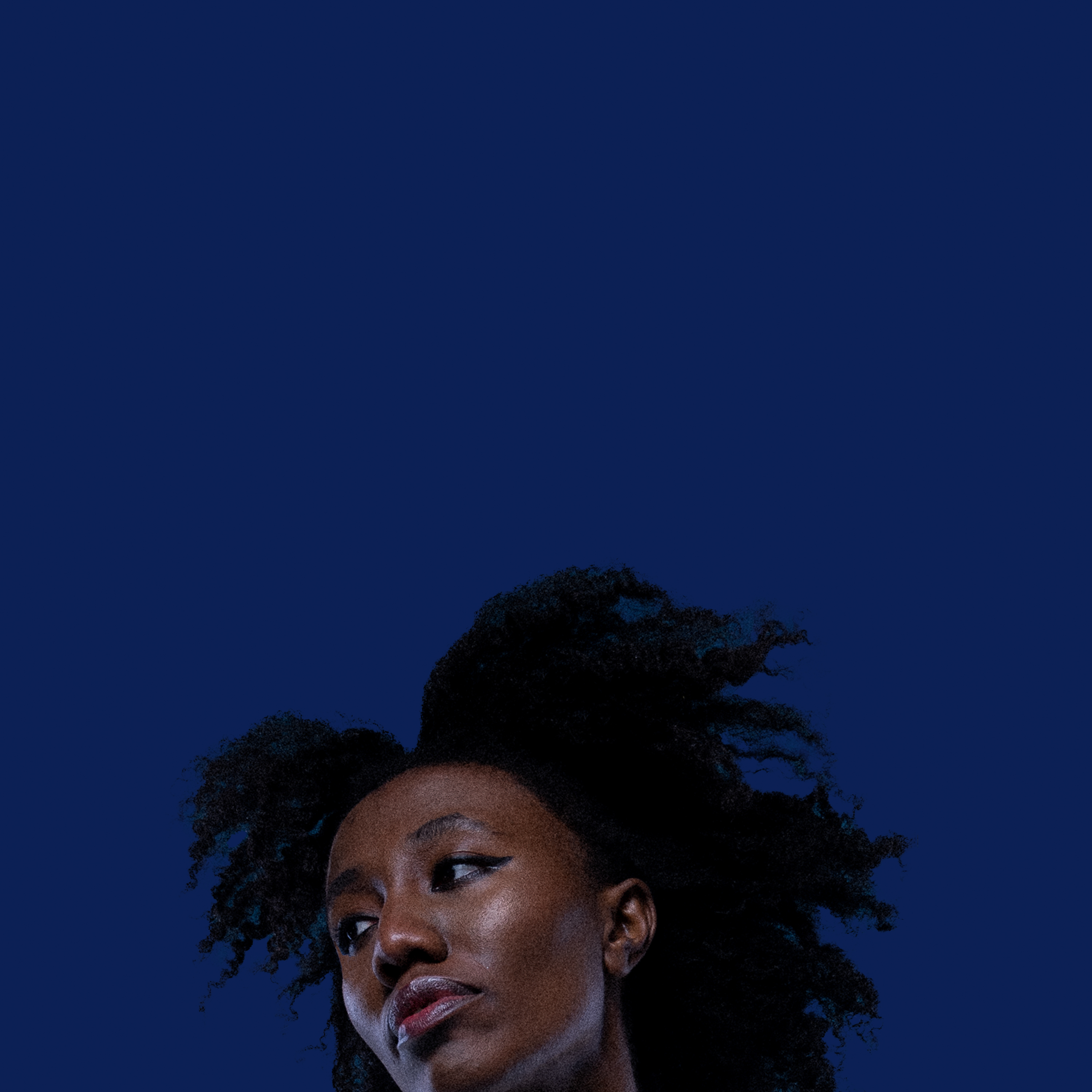 artist avatar